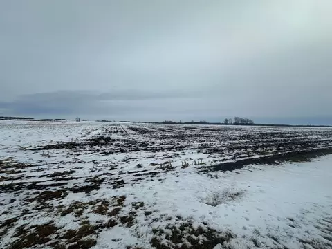 tbd County 36, Long Prairie, MN 56347