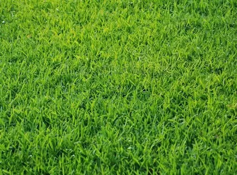 5141 Sydnie Rd NW, Rochester, MN 55901