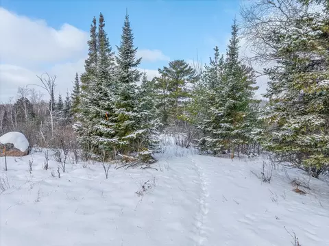 tbd Trezona Dr, Ely, MN 55731 photo 6