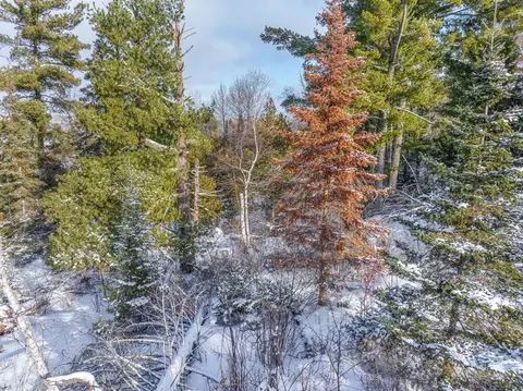 tbd Trezona Dr, Ely, MN 55731 photo 3