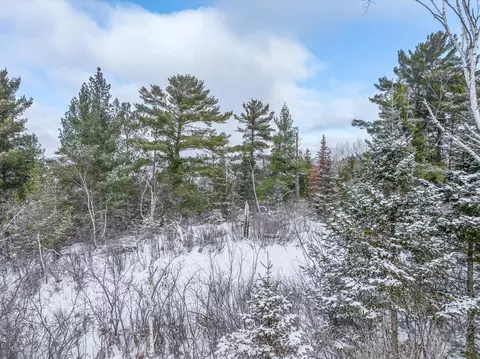 tbd Trezona Dr, Ely, MN 55731 photo 10