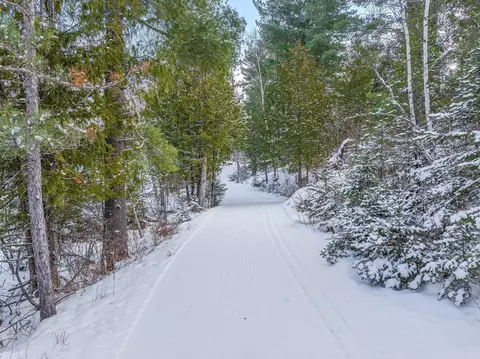 tbd Trezona Dr, Ely, MN 55731