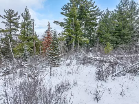 tbd Trezona Dr, Ely, MN 55731 photo 9