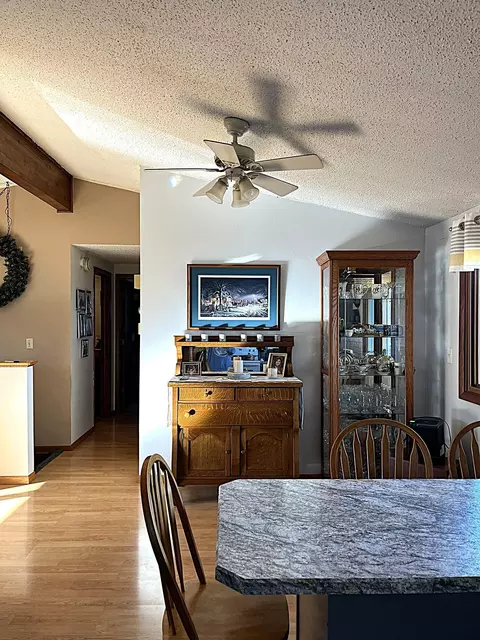 Other - 335 E Sorenson Ave, Appleton, MN 56208 photo 4 of 9