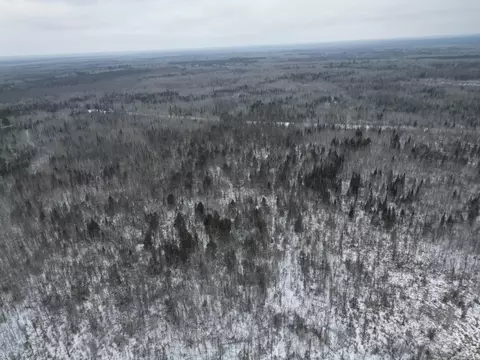tbd Us-71, Big Falls, MN 56627