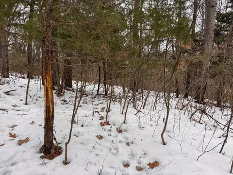 w3740 Evenson Road, Mindoro, WI 54644 photo 33
