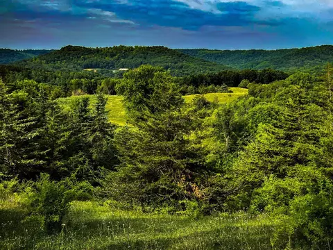 w3740 Evenson Road, Mindoro, WI 54644 photo 48