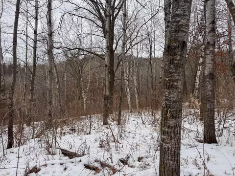 w3740 Evenson Road, Mindoro, WI 54644 photo 35