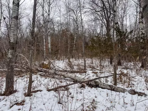 w3740 Evenson Road, Mindoro, WI 54644 photo 36