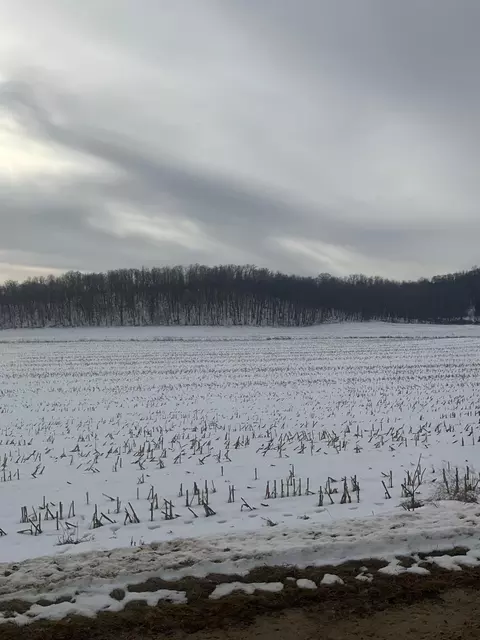 tbd Back Valley Rd, Pepin, WI 54759
