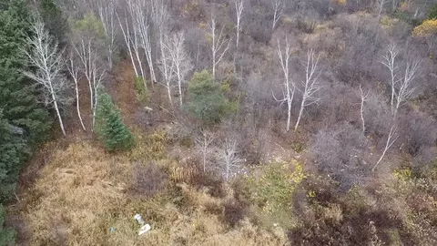 3950 Rehbein Rd, Duluth, MN 55803 photo 42