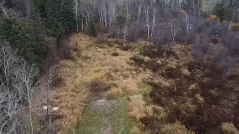 3950 Rehbein Rd, Duluth, MN 55803 photo 9
