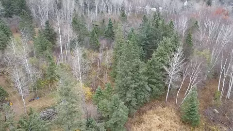 3950 Rehbein Rd, Duluth, MN 55803 photo 57