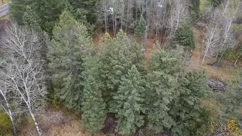 3950 Rehbein Rd, Duluth, MN 55803 photo 28