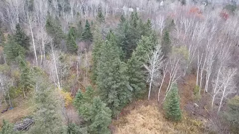 3950 Rehbein Rd, Duluth, MN 55803 photo 30