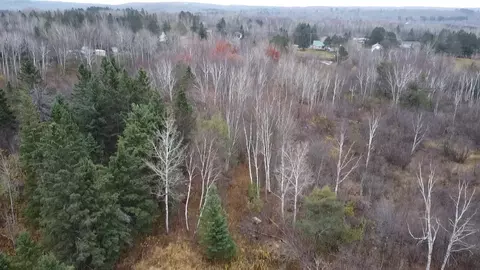3950 Rehbein Rd, Duluth, MN 55803 photo 31