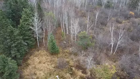 3950 Rehbein Rd, Duluth, MN 55803 photo 23