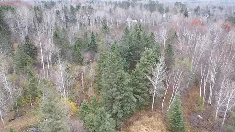 3950 Rehbein Rd, Duluth, MN 55803 photo 50
