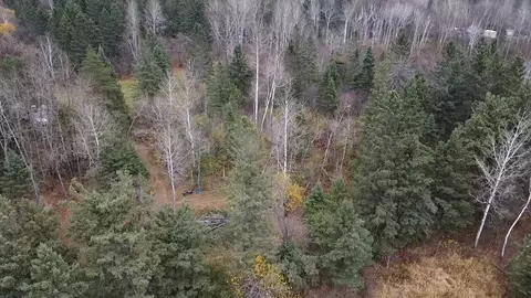 3950 Rehbein Rd, Duluth, MN 55803 photo 78