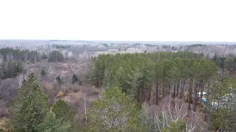 3950 Rehbein Rd, Duluth, MN 55803 photo 5