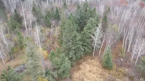 3950 Rehbein Rd, Duluth, MN 55803 photo 51