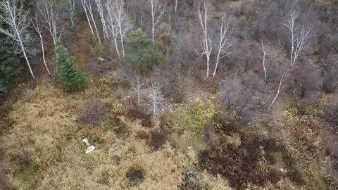 3950 Rehbein Rd, Duluth, MN 55803 photo 75