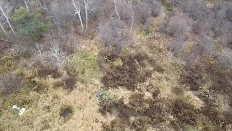 3950 Rehbein Rd, Duluth, MN 55803 photo 24