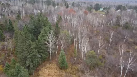 3950 Rehbein Rd, Duluth, MN 55803 photo 85