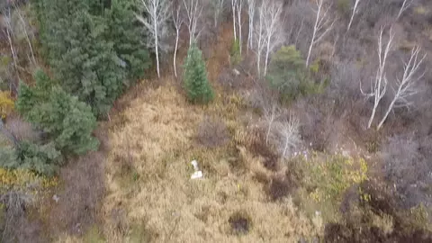 3950 Rehbein Rd, Duluth, MN 55803 photo 86