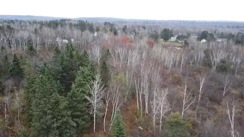 3950 Rehbein Rd, Duluth, MN 55803 photo 54