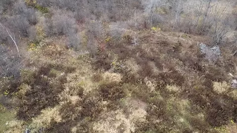 3950 Rehbein Rd, Duluth, MN 55803 photo 25