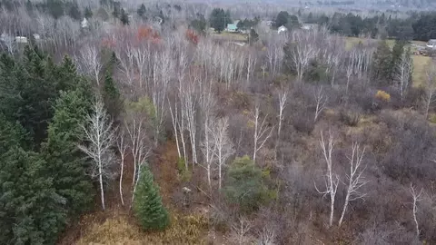3950 Rehbein Rd, Duluth, MN 55803 photo 52