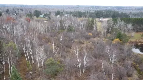 3950 Rehbein Rd, Duluth, MN 55803 photo 53