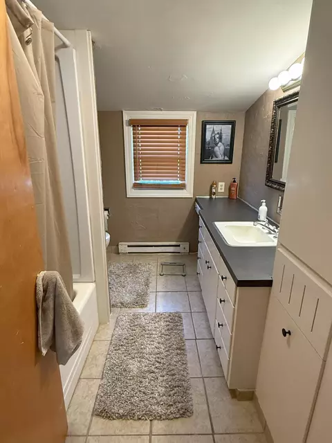 Bath - 309 3rd Ave E, Ada, MN 56510 photo 4 of 4