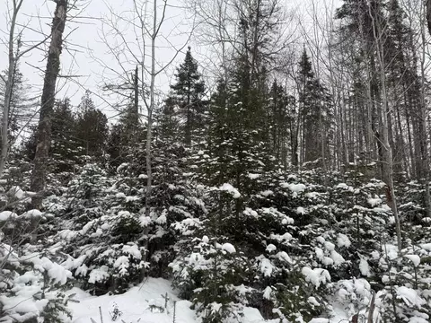 Xx40 Lavaque Road, Duluth, MN 55802 photo 19