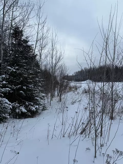 Xx40 Lavaque Road, Duluth, MN 55802 photo 16
