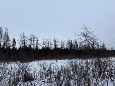 Xx40 Lavaque Road, Duluth, MN 55802 photo 9