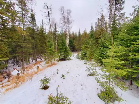 Xx40 Lavaque Road, Duluth, MN 55802 photo 5