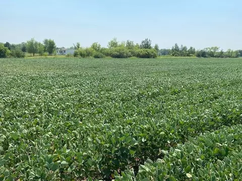 tbd 160th St, Foreston, MN 56330 photo 2