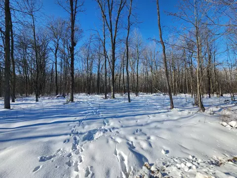 Nnnn 175th, Ogilvie, MN 56353