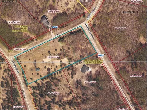 tbd Gasparilla Loop, Park Rapids, MN 56470 photo 9