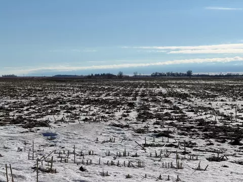 Section 35 Pepperton Township, Alberta, MN 56207 photo 3