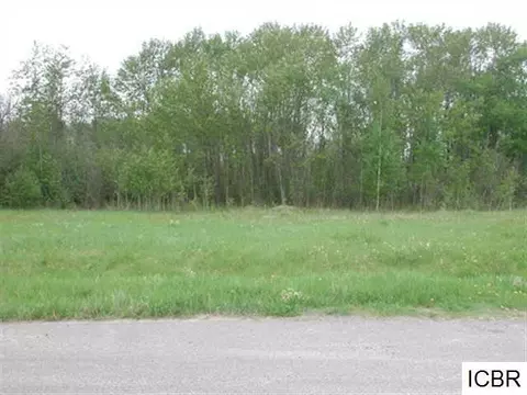 3 3rd Street, Deer River, MN 56636