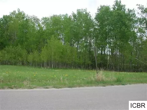 Lt 1 Blk 4 Aspen Dr, Deer River, MN 56636