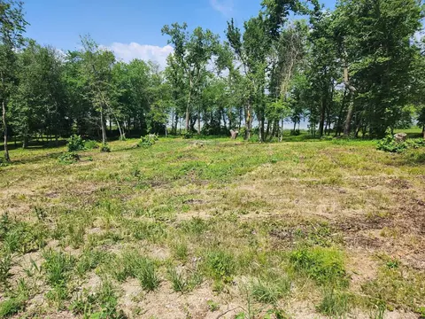 lot2 125th St, Dalton, MN 56324