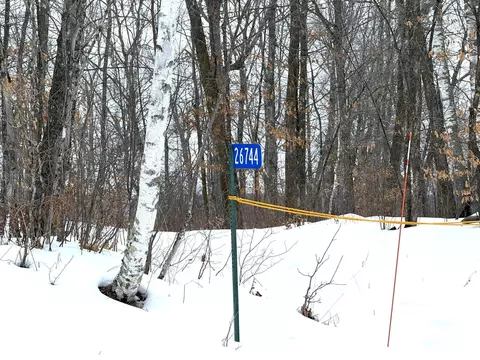 26744 Ross Lake Rd, Aitkin, MN 56431