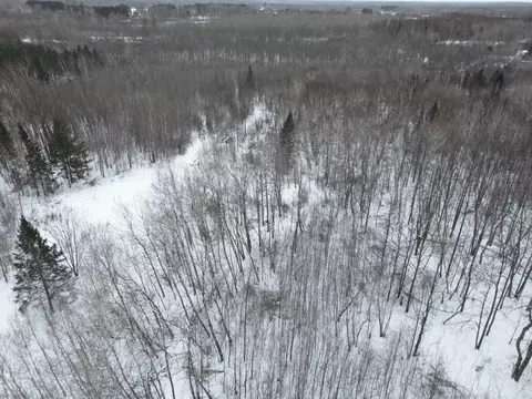 View/Area - 1450 5th St, Wright, MN 55798 photo 4 of 4