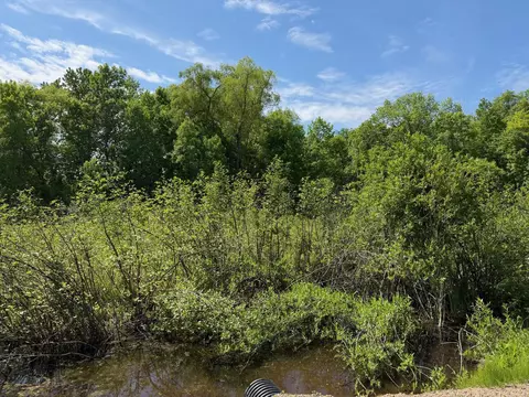 tbd White Fish Rd, Garrison, MN 56450 photo 9