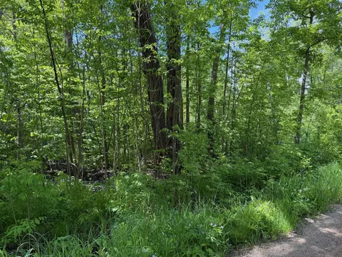 tbd White Fish Rd, Garrison, MN 56450 photo 7