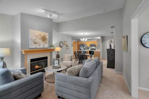 9909 Tamarack Cv, Woodbury, MN 55125